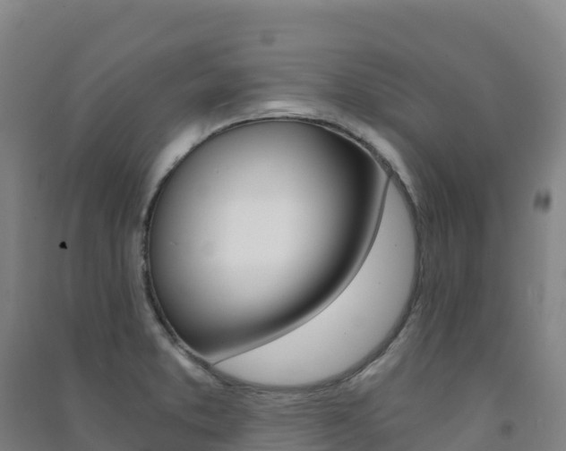 X0000091481373200708161139