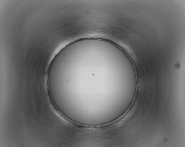 X0000091481374200708161139