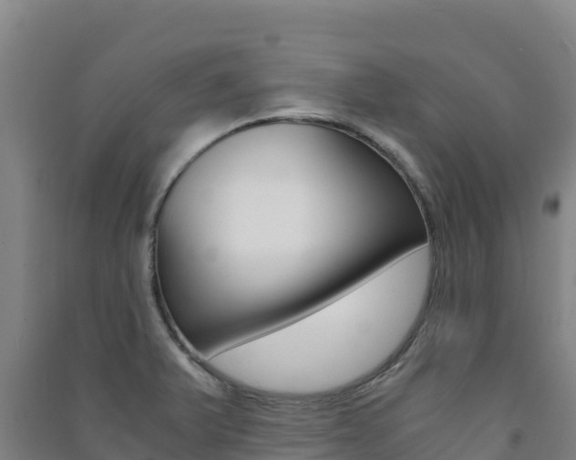 X0000091481375200708161139