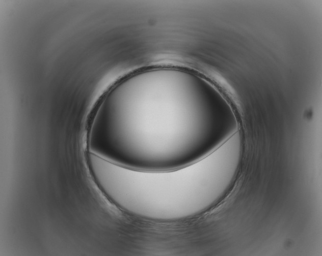 X0000091481376200708161139