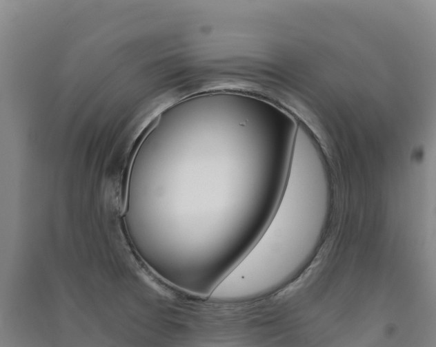 X0000091481377200708161139