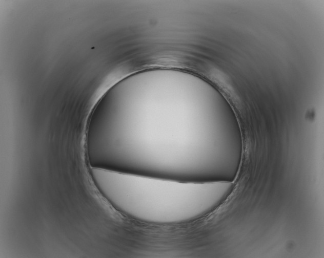 X0000091481378200708161139