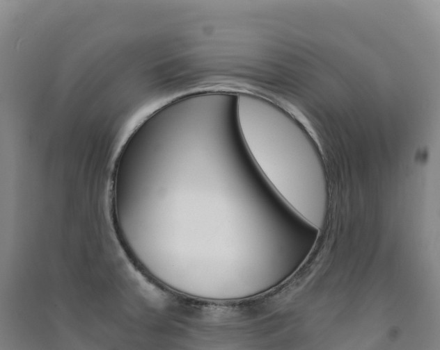 X0000091481379200708161139