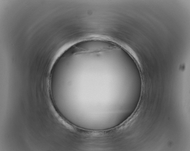 X0000091481381200708161139