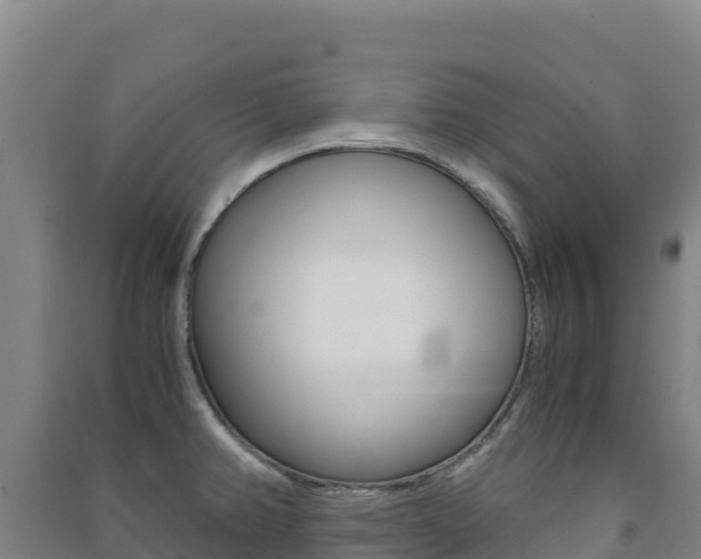 X0000091481382200708161139