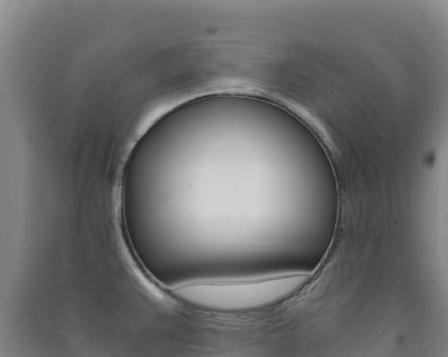 X0000091481383200708161139