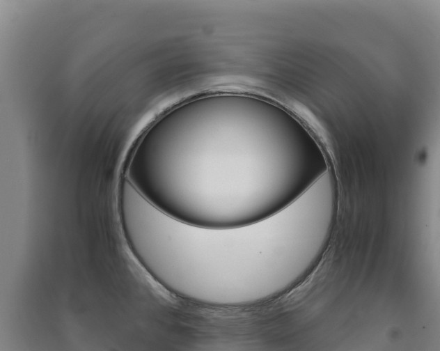 X0000091481384200708161139