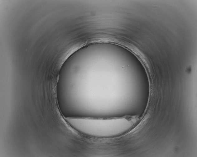 X0000091481385200708161139