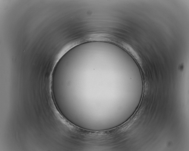 X0000091481386200708161139