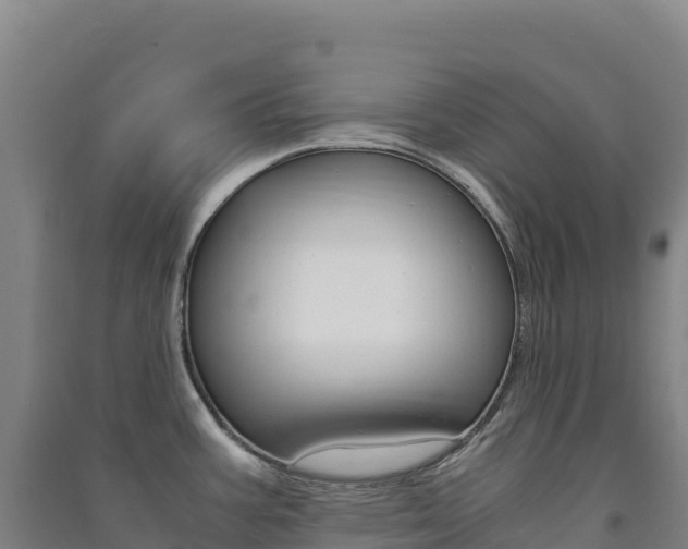 X0000091481387200708161139