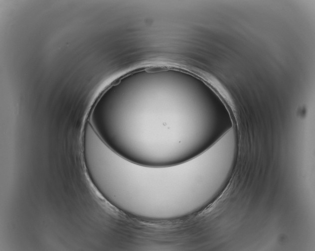 X0000091481388200708161139