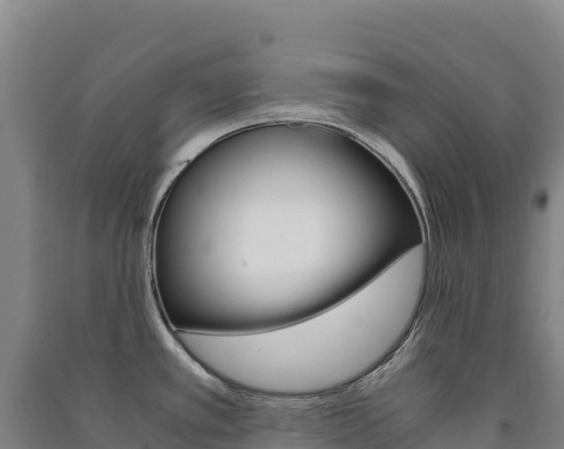 X0000091481389200708161139