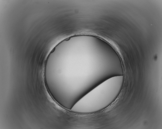 X0000091481390200708161139