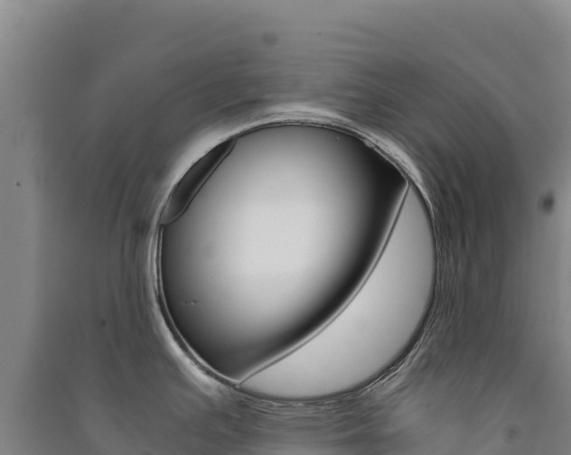 X0000091481391200708161139