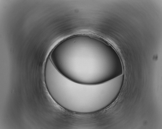 X0000091481392200708161139