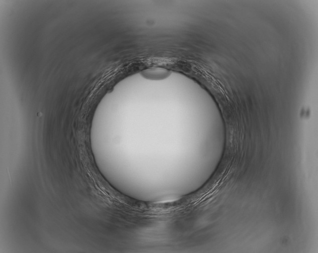 X0000091481393200708161138
