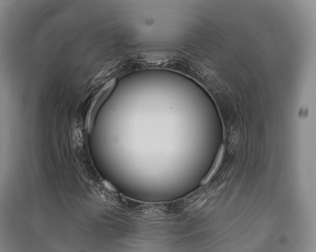 X0000091481394200708161138