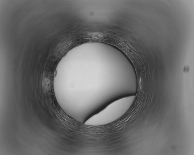 X0000091481395200708161139