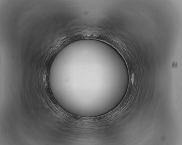 X0000091481396200708161139