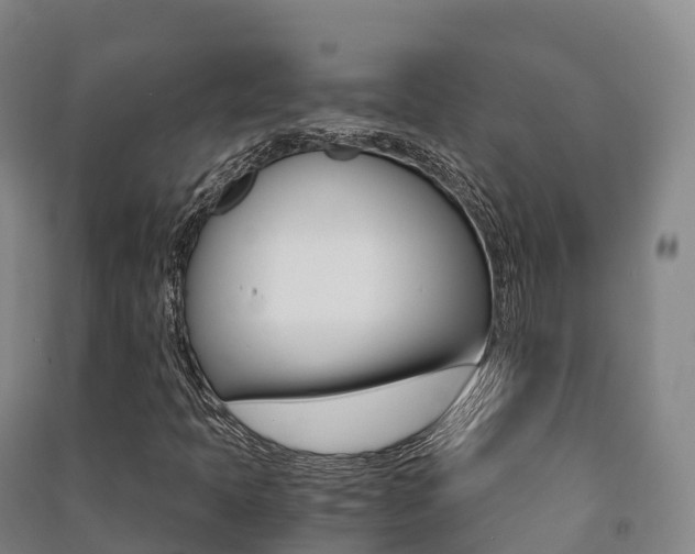 X0000091481397200708161139