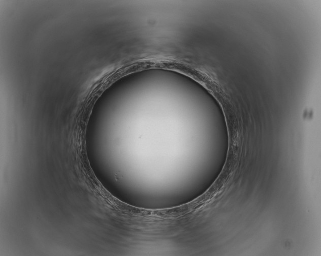 X0000091481398200708161139