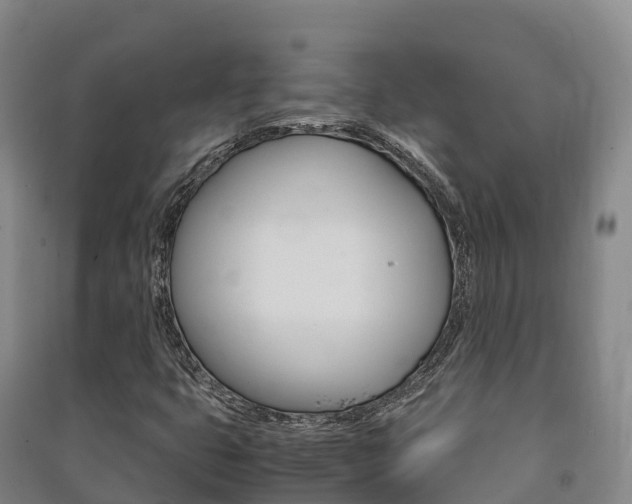 X0000091481399200708161139