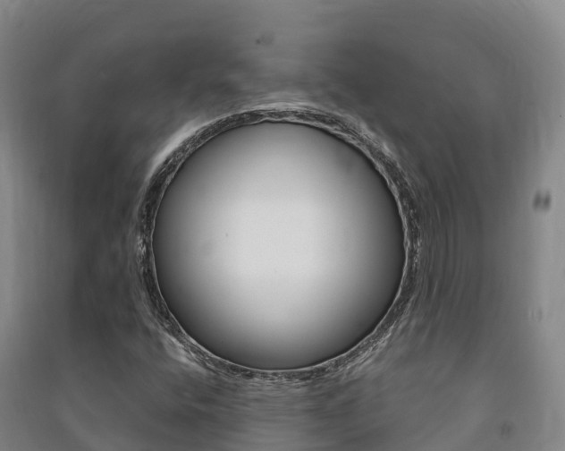 X0000091481400200708161139