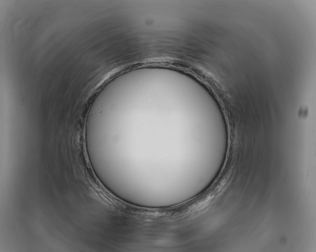 X0000091481401200708161139