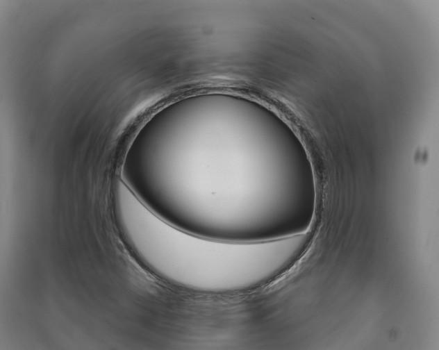 X0000091481402200708161139