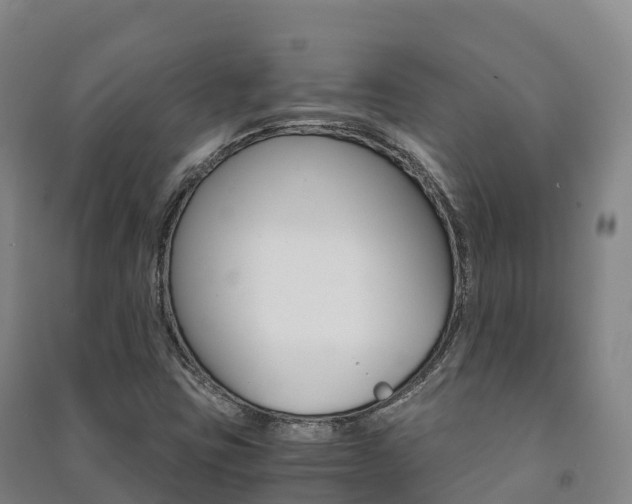 X0000091481403200708161139
