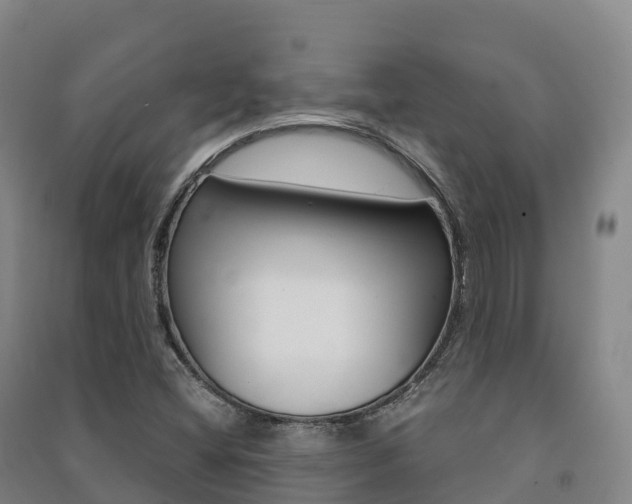 X0000091481404200708161139