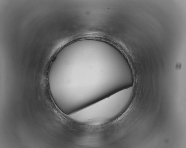 X0000091481405200708161139