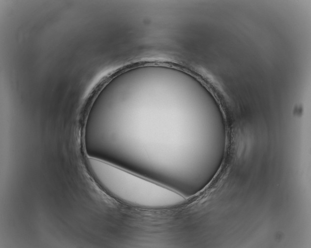 X0000091481408200708161139