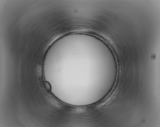 X0000091481409200708161139
