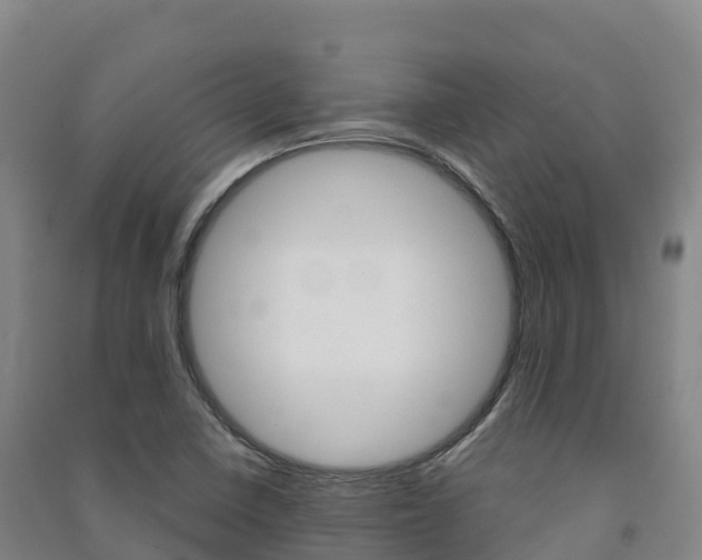 X0000091481410200708161139