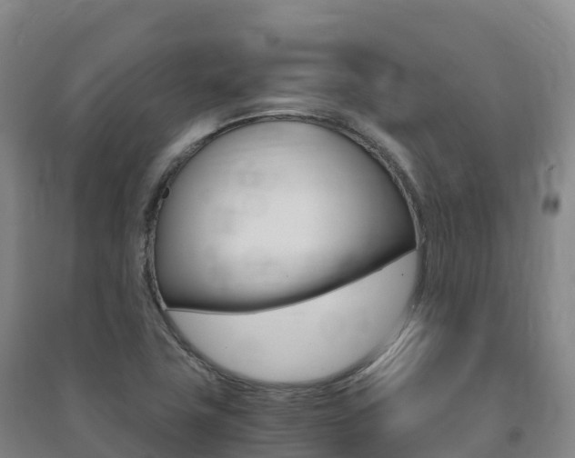 X0000091481411200708161139