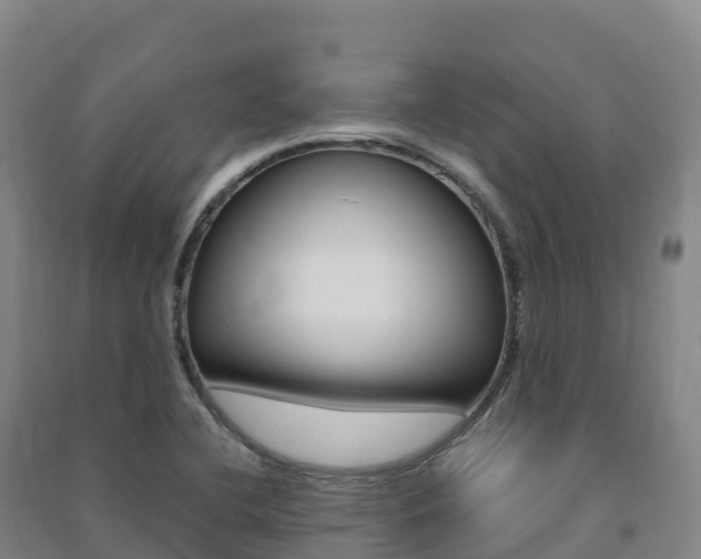 X0000091481412200708161139