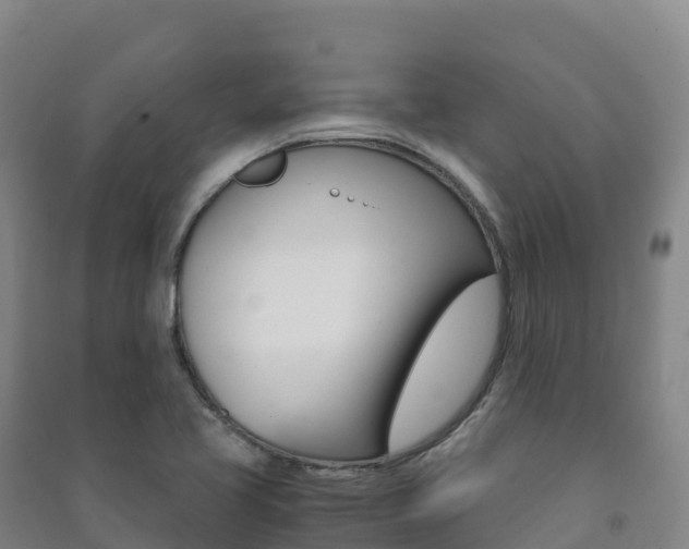 X0000091481413200708161139