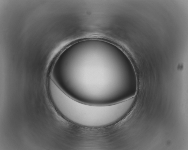 X0000091481414200708161139