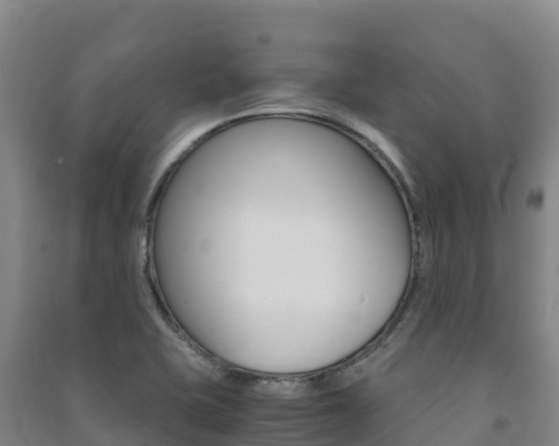 X0000091481415200708161139