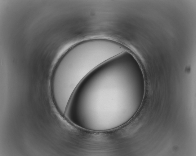 X0000091481416200708161139