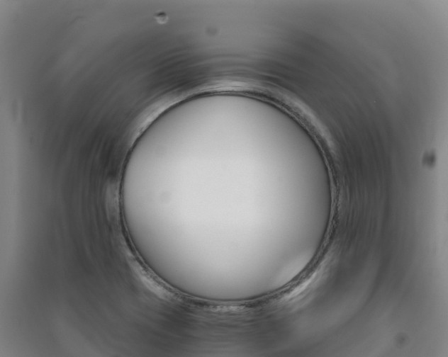 X0000091481417200708161139