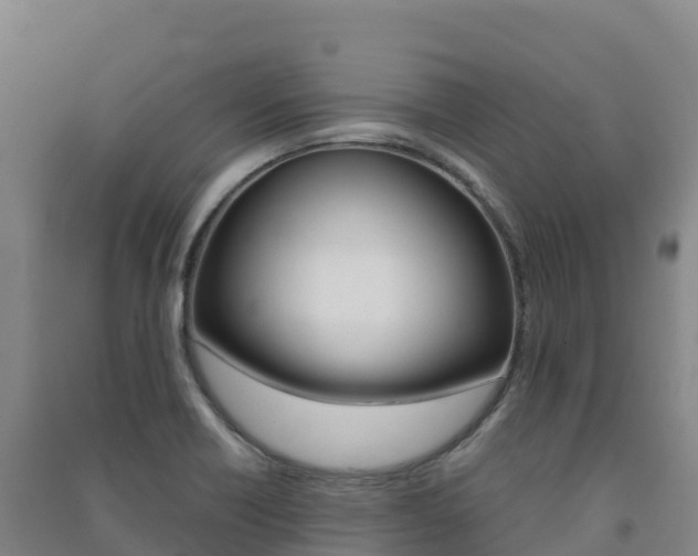 X0000091481418200708161139
