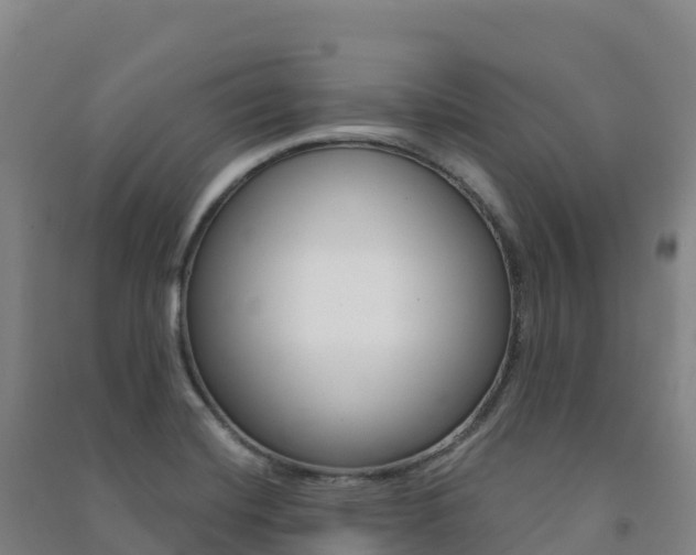 X0000091481420200708161139