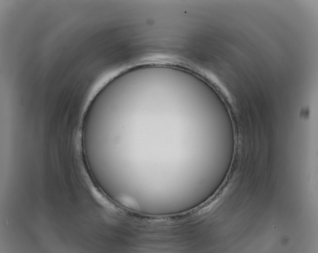 X0000091481421200708161139
