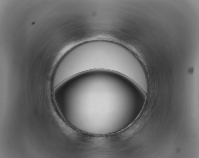 X0000091481422200708161139