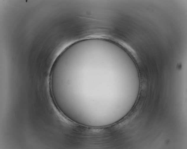 X0000091481423200708161139