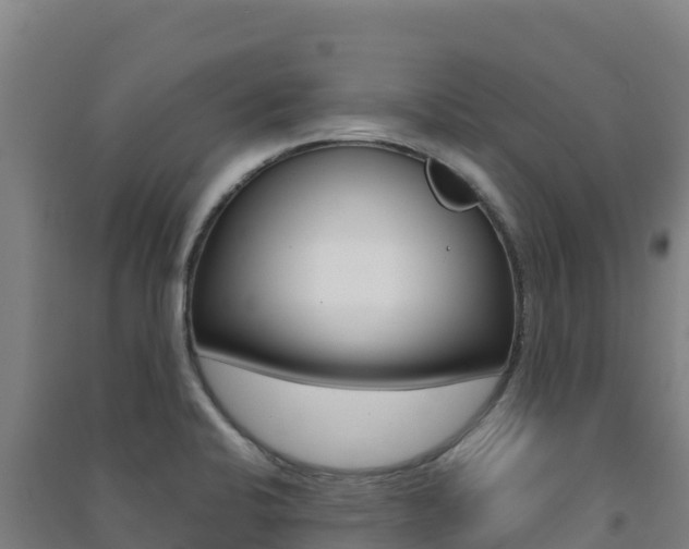 X0000091481424200708161139