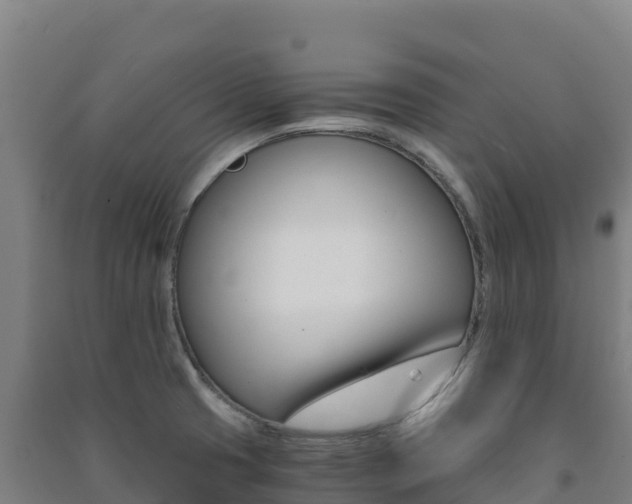 X0000091481425200708161139