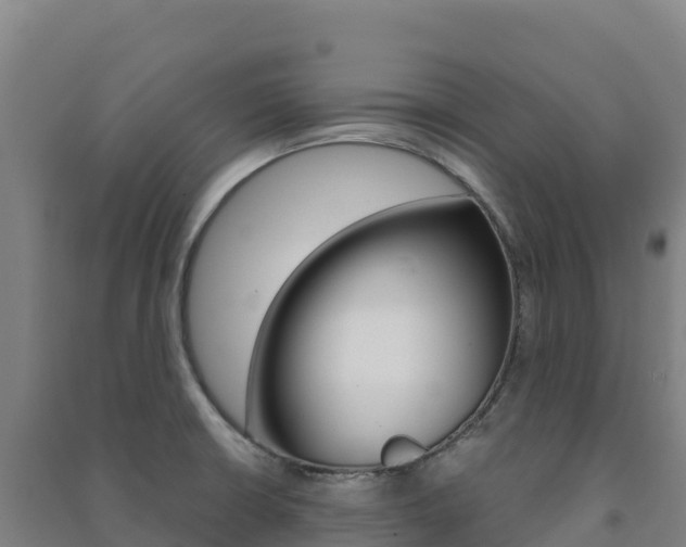 X0000091481426200708161139